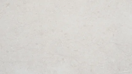 Bianco Limestone surface scan showing its very white, uniform natural stone texture